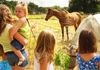 Vacances en France : visite des fermes et producteurs locaux - Kaufman & Broad