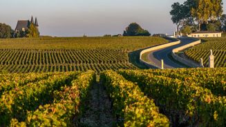 Immobilier Neuf Le Taillan Medoc