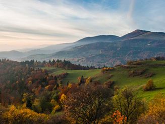 Programme immobilier neuf dans les Vosges