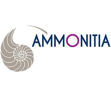 Ammonitia, pour une gestion sur-mesure - Kaufman & Broad