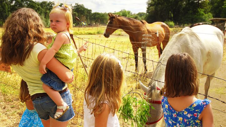 Vacances en France : visite des fermes et producteurs locaux - Kaufman & Broad