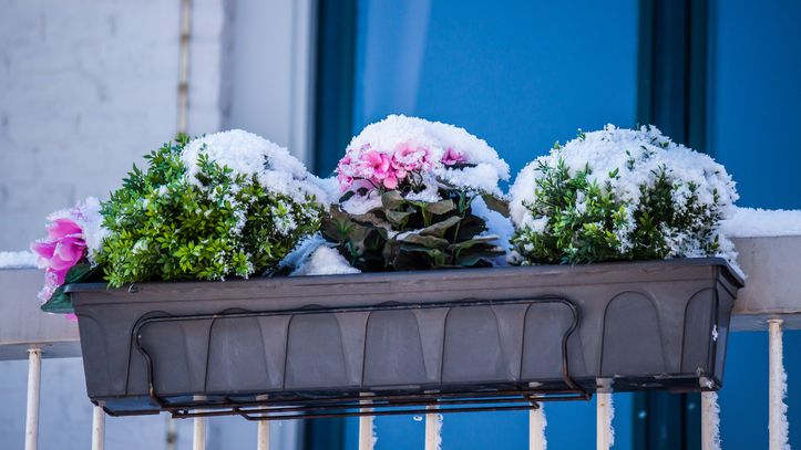 terrasse en hiver